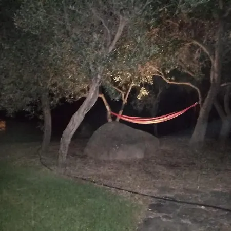 Rubia * Вилласимиус