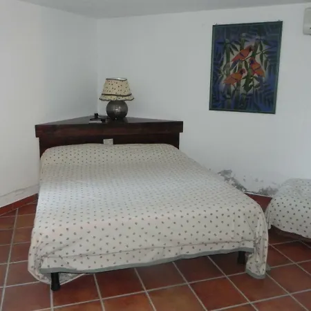 Rubia * וילסימיוס