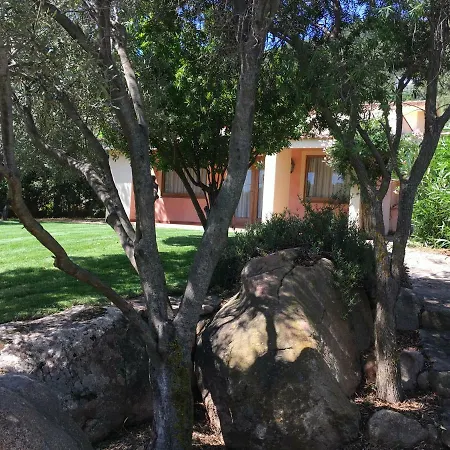 Rubia * 维拉西米乌斯