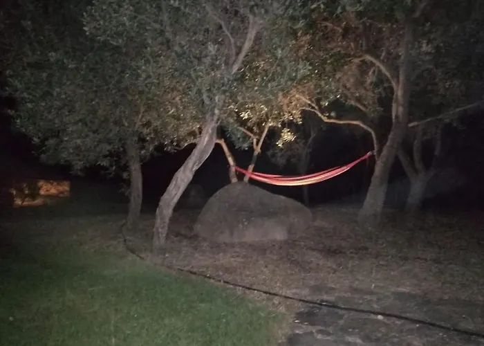 Rubia * Віллазімьюс