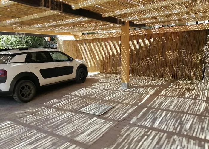 Rubia * Вилласимиус