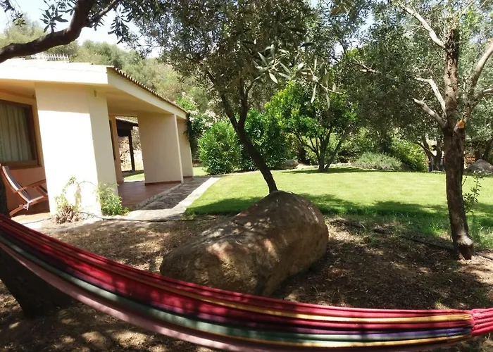 Rubia * Вилласимиус